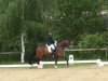 dressage horse Little Lion 28 (Danish Warmblood, 1998, from Leandro)