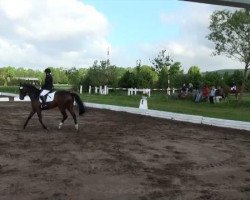 dressage horse Mon Cherie 67 (Hanoverian, 1996, from Metternich)