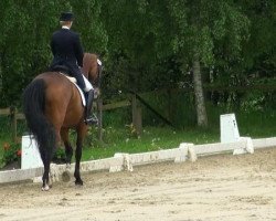 dressage horse Landorra (Oldenburg, 1999, from Landjuwel Gold)