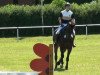 dressage horse Luciano (Württemberger, 2003, from Lanciano)