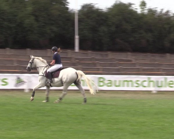 Reitturnier Baschütz bei Bautzen 2022