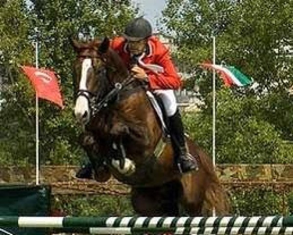 stallion Replay (Belgian Warmblood, 1998, from Feo de Lauzelle)