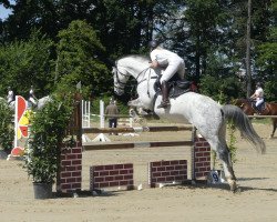 jumper Sky Tm (Oldenburg, 2012, from Silbermond)