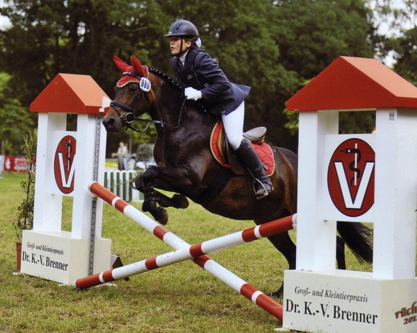 dressage horse Amica (German Riding Pony, 2001)