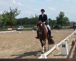 dressage horse Felix 1900 (Westphalian, 2005, from Fiano)