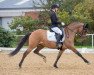 dressage horse Dubai Jm (German Riding Pony, 2014, from Hilkens Dance Forever)