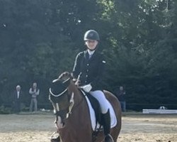 dressage horse Bella Block H (Westfale, 2017, from Callaho's Benicio)