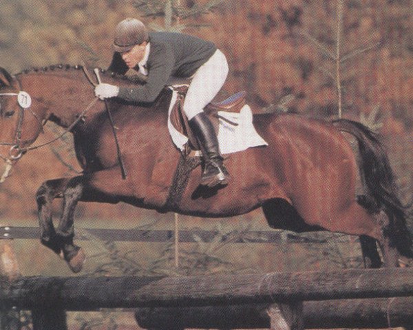 stallion Rio Zeus (Oldenburg, 1985, from Ramino)