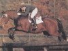 stallion Rio Zeus (Oldenburg, 1985, from Ramino)