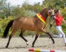 broodmare Mrs. Always Right VEC (German Riding Pony, 2019, from Petit Magic Moment)