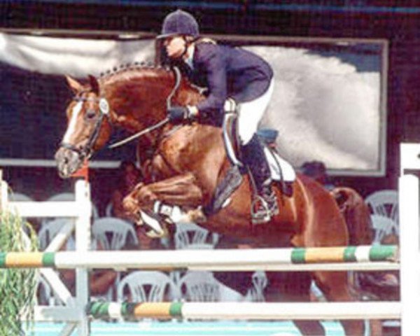 stallion Feuerglanz (Westphalian, 1986, from Frühlingsball)