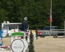 jumper Cette image (Hanoverian, 2003, from Contendro I)