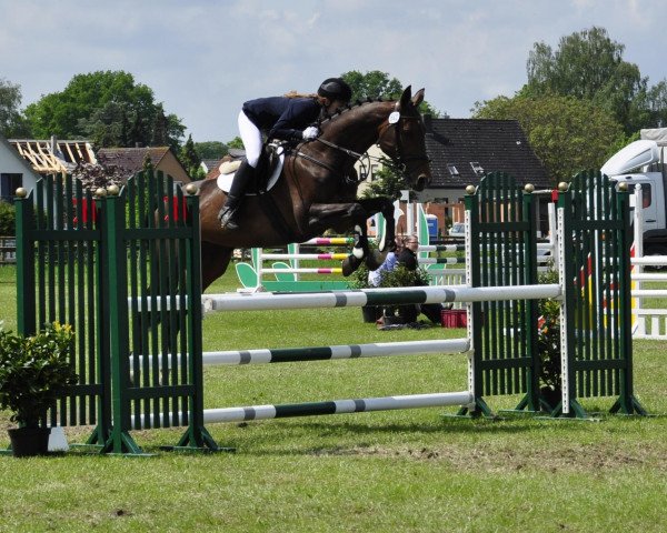 jumper Ginera (Hanoverian, 2001, from Graf Remus)