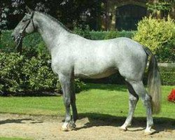 stallion Sterling (Rhinelander, 1999, from Sandro Hit)