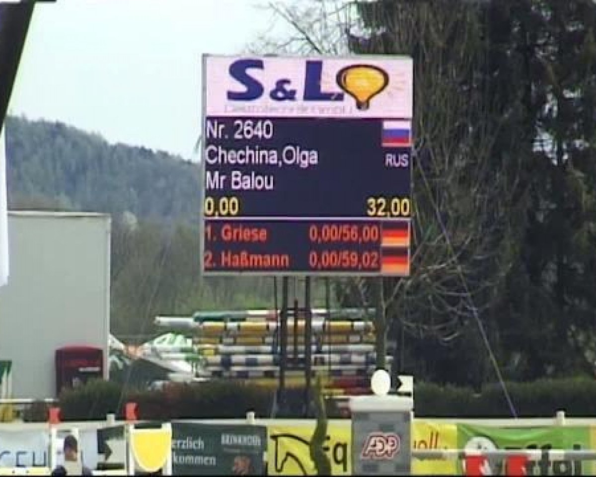 Springpferd Mr Balou (Oldenburger Springpferd, 2005, von Balou du Rouet)