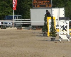 dressage horse Karthago 71 (Hanoverian, 2005, from K2 T)