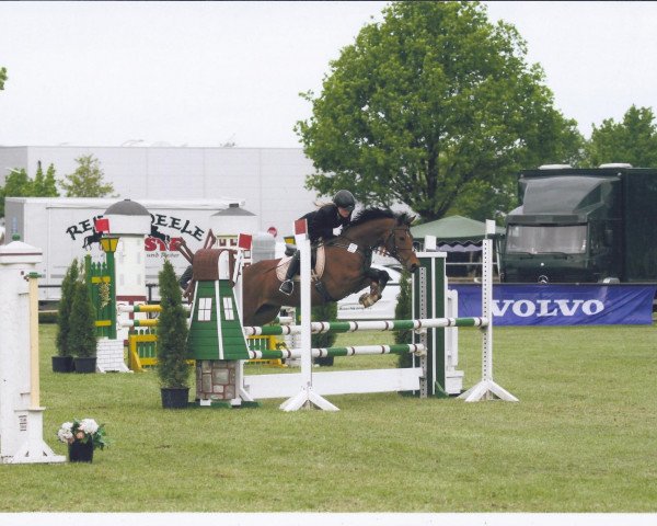 Springpferd Cally's Hope (Deutsches Reitpony, 2006, von FS Champion de Luxe)