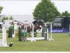 jumper Cally's Hope (German Riding Pony, 2006, from FS Champion de Luxe)