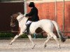 dressage horse Smoky 249 (Hessian Warmblood, 1998, from Samico F)