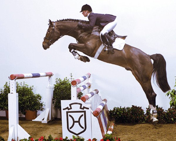 jumper Leonce (Holsteiner, 1998, from Limbus)