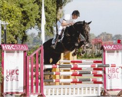 broodmare Apolaris (KWPN (Royal Dutch Sporthorse), 2005, from Indorado)