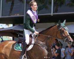 Springpferd Over Lux (Irish Sport Horse, 2012, von Lux Z)