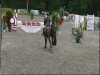 dressage horse Che bella Colett (Oldenburg, 2006, from Helenenhof's Carabas)