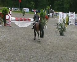 dressage horse Che bella Colett (Oldenburg, 2006, from Helenenhof's Carabas)