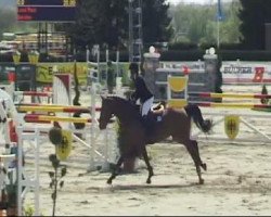 jumper Lorezi (Oldenburg, 2006, from Lord Pezi)