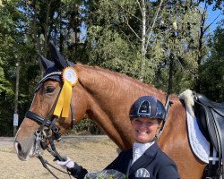 dressage horse DSP Sonnerie Souveraine (German Sport Horse, 2015, from Sezuan)