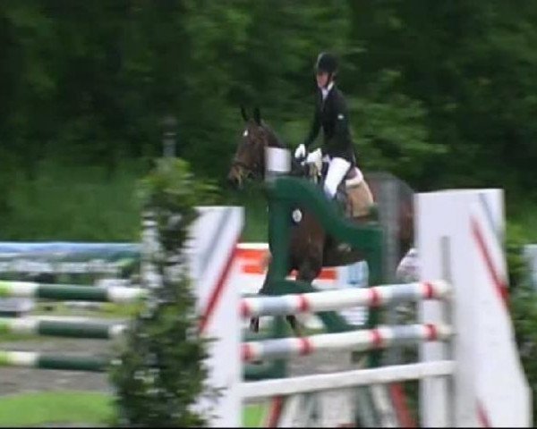 Dressurpferd Catagoric (Irish Sport Horse, 1998, von Allegoric xx)