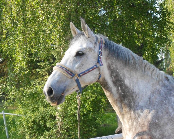 horse Lady (unknown, 2003)