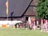 broodmare Persching 3 (Holsteiner, 2000, from Cadillac)