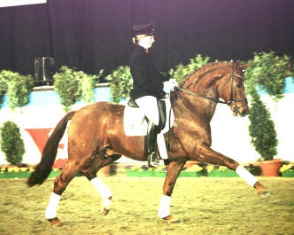 stallion Feiner Ludwig (Oldenburg, 1992, from Feiner Stern)