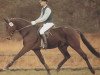 stallion Grand Galopin (Hanoverian, 1986, from Gelria)
