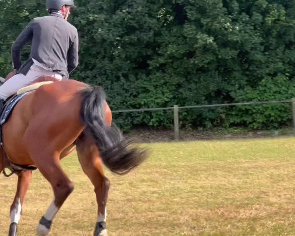 Reitturnier Merzen 2022