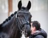 dressage horse Kasida 3 (Trakehner, 2015, from Schwarzgold)