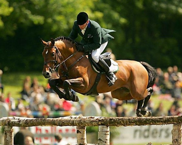 stallion Fighting Alpha (KWPN (Royal Dutch Sporthorse), 1991, from Landjonker (Fruhling))