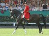 stallion Grandseigneur (Hanoverian, 1987, from Grunewald)