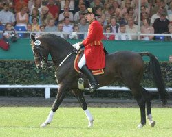 stallion Grandseigneur (Hanoverian, 1987, from Grunewald)