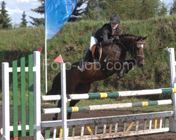 horse Santos Flora (German Riding Pony, 1997, from Santo)