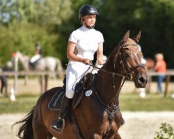 jumper Jappeloup de Balou (KWPN (Royal Dutch Sporthorse), 2014, from Quasimodo Z)