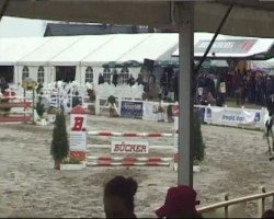 Zuchtstute Clever Girl 6 (Holsteiner, 1999, von Calido I)
