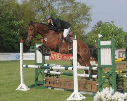 jumper Luca Toni 21 (Oldenburg show jumper, 2007, from Lordanos)