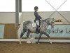 dressage horse Vieko (German Riding Pony, 2001, from Vulkan)