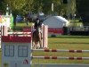 jumper Baloubet - S (Oldenburg, 2001, from Baloubet du Rouet)