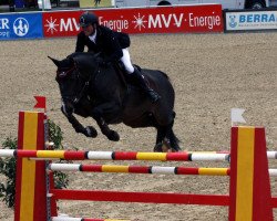 jumper Show Time 8 (Holsteiner, 2002, from Carolus I)