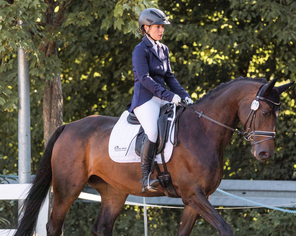 broodmare Fleur Delacour 21 (Württemberger, 2014, from Contendro I)