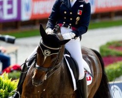 dressage horse Rokoko N (Brandenburg, 2000, from Rubinstern Noir)