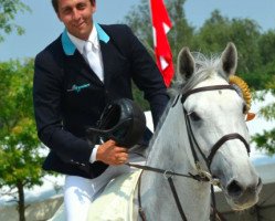 broodmare Audi's Cinderella Z (Zangersheide riding horse, 2002, from Cento Lano)